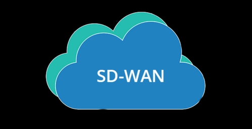 SD-WAN组网